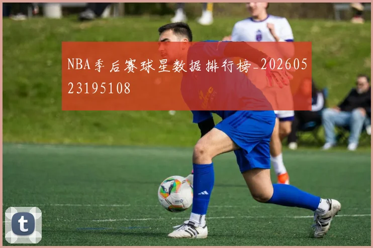 NBA季后赛球星数据排行榜_20260523195108